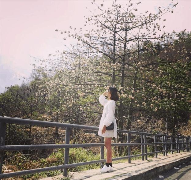 Đường đi lên Ngọn hải đăng - địa điểm chụp hình đẹp ở Vũng Tàu