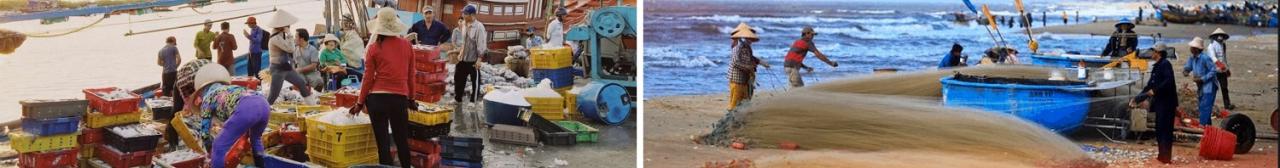 Chợ cá Vũng Tàu-cung cấp hải sản tươi ngon,đa dạng năm 2023